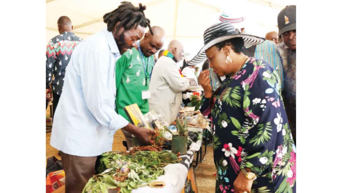 First Lady takes Traditional  Medicinal Herbs Programme to Manicaland . . . draws a sea of people