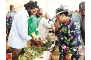 First Lady takes Traditional  Medicinal Herbs Programme to Manicaland . . . draws a sea of people