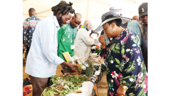 First Lady takes Traditional  Medicinal Herbs Programme to Manicaland . . . draws a sea of people