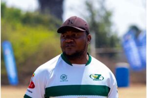 Cheetahs seek  to make history