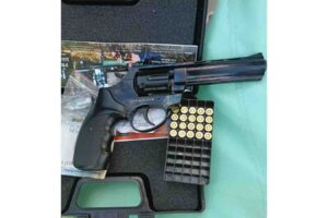Three up for smuggling a gun, mbanje in Beitbridge