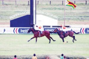 Purple Blooms, Pink Ribbons and Thrill of the Race . . . an afternoon of horse racing, music and cancer awareness