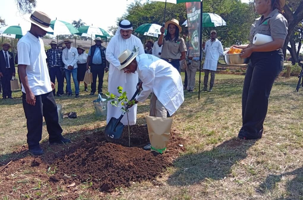 26 graduate at Zimbabwe College of Forestry