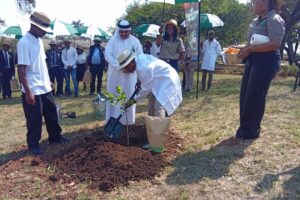 26 graduate at Zimbabwe College of Forestry