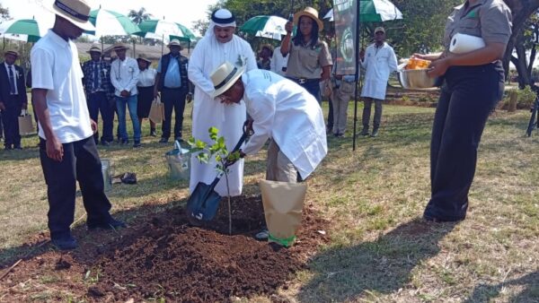 26 graduate at Zimbabwe College of Forestry