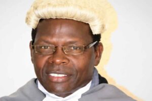 NEW: Kariba ferry inquiry chairperson vows to deliver within timeframe