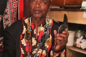 Umfelokazi uhlaselwa ngesikwelede sabondofa