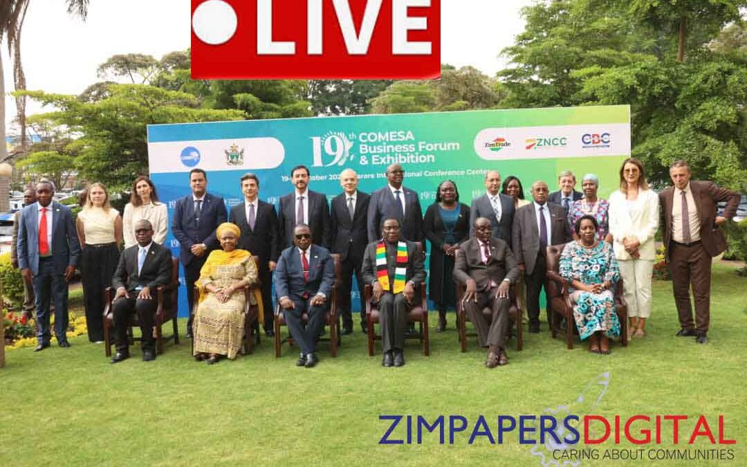 President Mnangagwa to open COMESA Business Forum