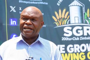 Masvingo doubles Pfumvudza target to 2.5 million plots