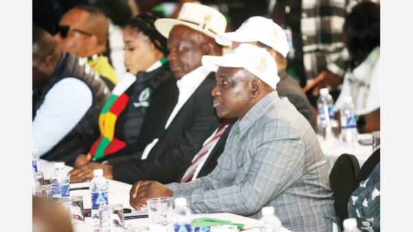 COMMENT: The baton has been passed: Turning liberation  legacy into economic progress