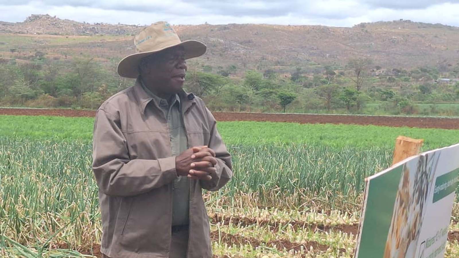 Goromonzi horticultural farmer reaps rewards from horticulture