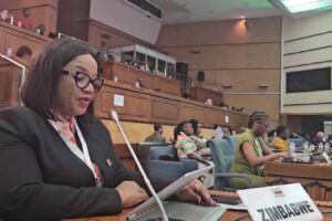 Zimbabwe blames sanctions for human rights challenges