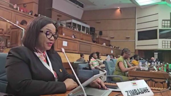 Zimbabwe blames sanctions for human rights challenges