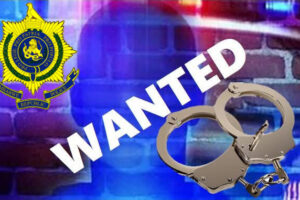 Mutare woman dies after pepper spray robbery
