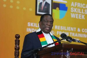 Africa’s development cannot be outsourced: HE