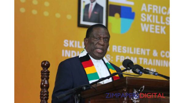 Africa’s development cannot be outsourced: HE
