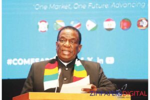 President rallies COMESA to unlock next trade frontier