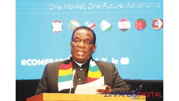 President rallies COMESA to unlock next trade frontier