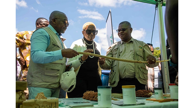 NEW: Mutoko to host belated World Food Day commemorations