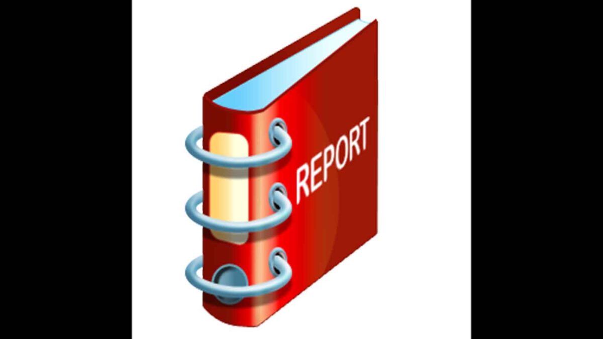 Govt receives aviation study report