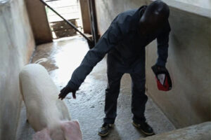 Ex-inmate’s second chance on four legs
