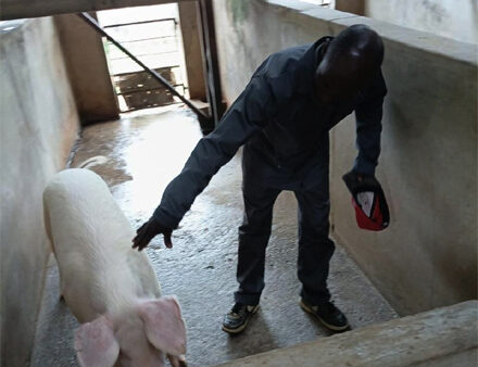 Ex-inmate’s second chance on four legs