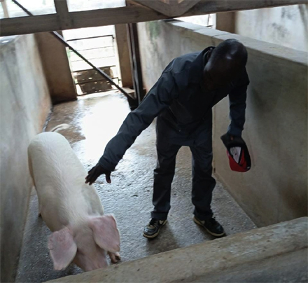 Ex-inmate’s second chance on four legs