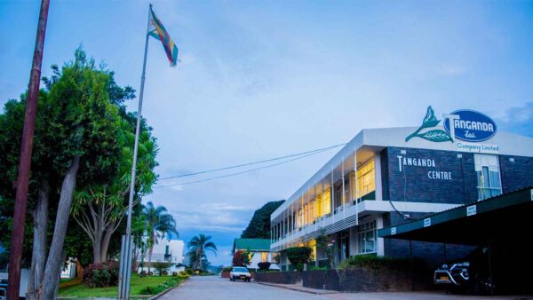 Tanganda seeks shareholder nod for strategic shift to VFEX