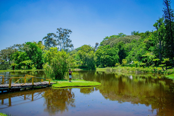 Digital agenda and AI: What it means for local tourism