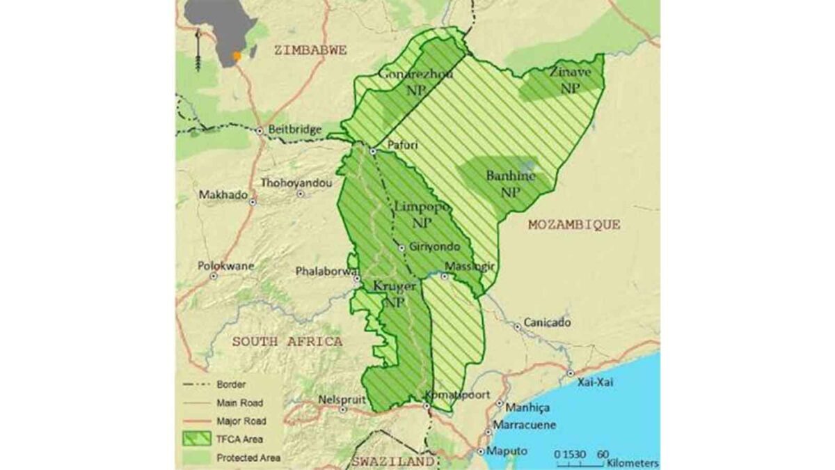 Zimbabwe advances plan to transform South-East Lowveld into a safari hub within the Great Limpopo Transfrontier Conservation Area