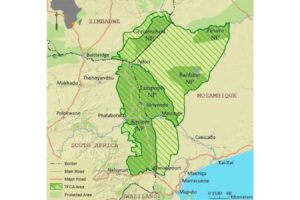 Zimbabwe advances plan to transform South-East Lowveld into a safari hub within the Great Limpopo Transfrontier Conservation Area