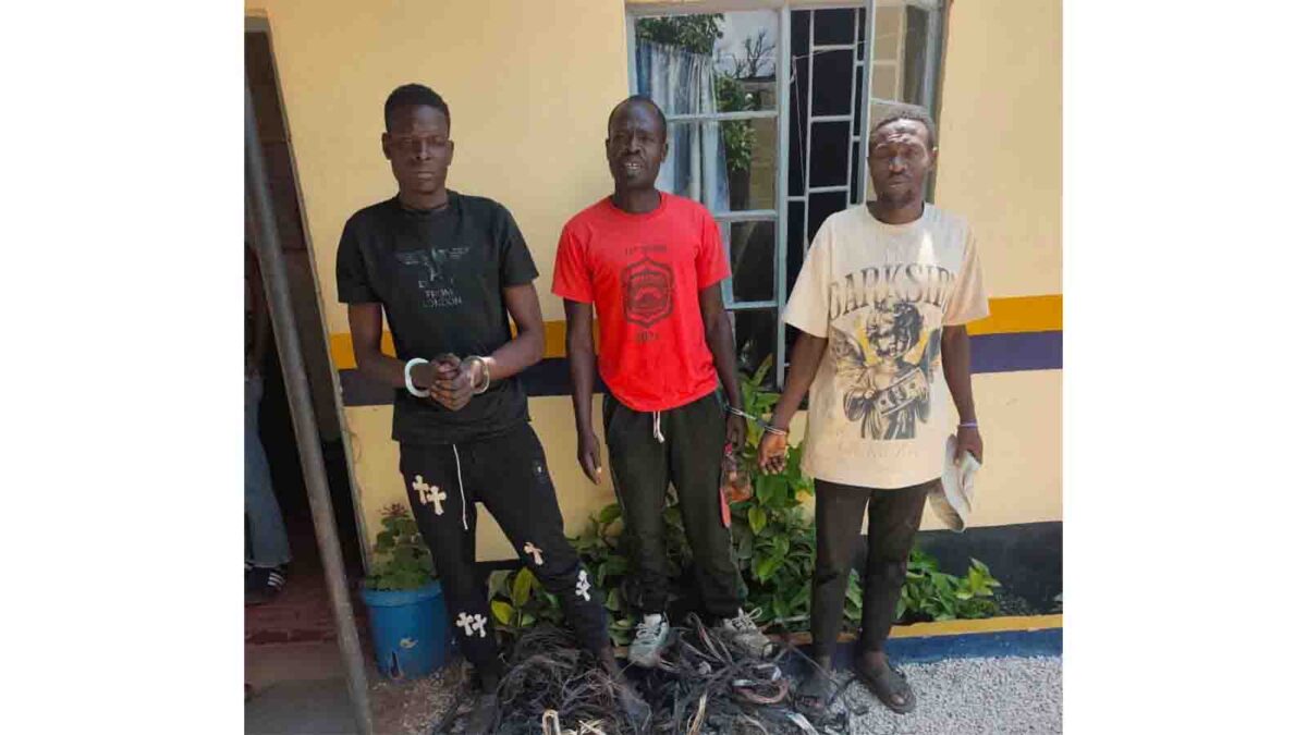 Three arrested over theft of 105 metres of ZESA copper cables