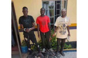 Three arrested over theft of 105 metres of ZESA copper cables