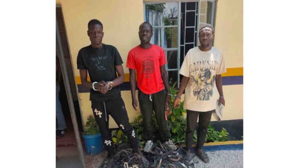Three arrested over theft of 105 metres of ZESA copper cables