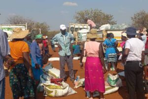 Rural women anchor Zimbabwe’s climate adaptation push – UNDP