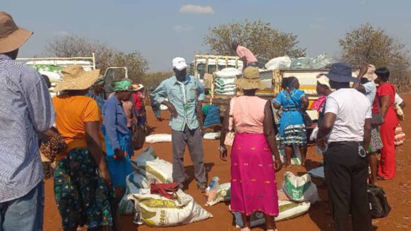 Rural women anchor Zimbabwe’s climate adaptation push – UNDP