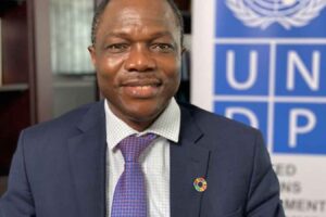 UNDP calls for increased rural funding