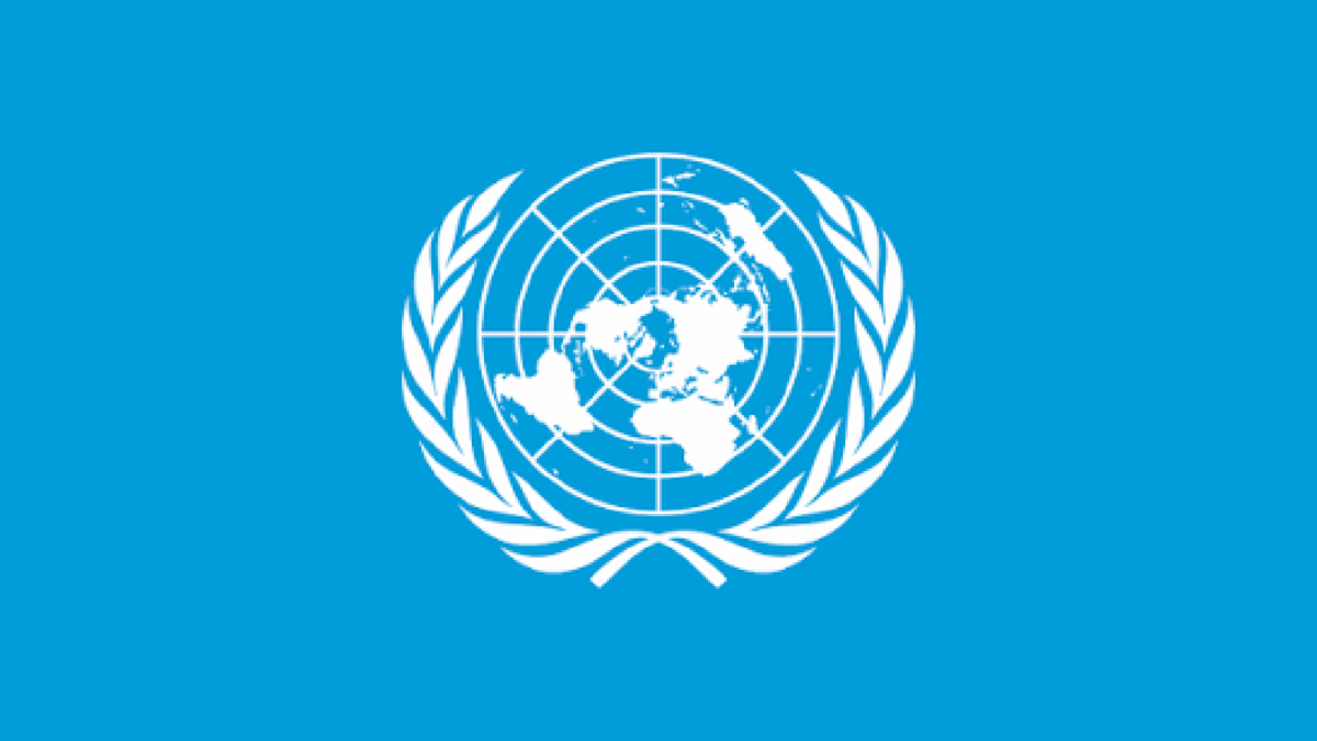 Unpacking the UN Special Rapporteur’s Mission to Zimbabwe: When a Cultural Rights Assessment Risks Becoming a Predetermined Verdict