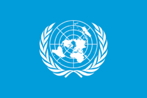 Unpacking the UN Special Rapporteur’s Mission to Zimbabwe: When a Cultural Rights Assessment Risks Becoming a Predetermined Verdict