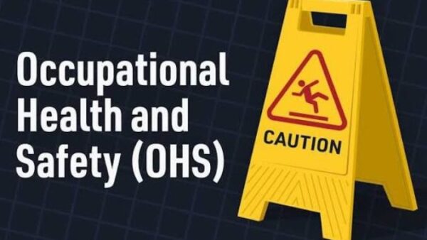 Take leading role in ESG reporting, OSH professionals urged