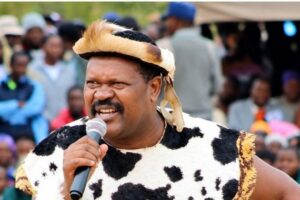 Artistes urged to seize King Mzilikazi musical opportunity