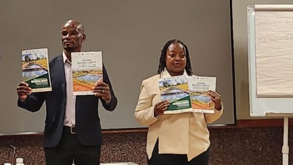 Zimbabwe fish output surges 24pc as farmers embrace aquaculture
