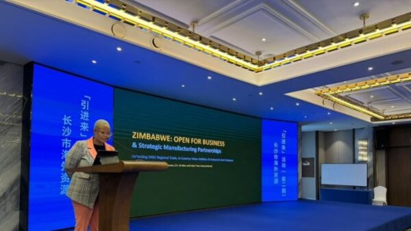 Zim entrepreneurs court Chinese firms to boost SME manufacturing
