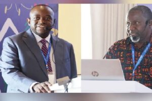 AI, drones set  to transform Zim agriculture