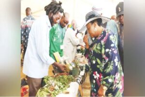 First Lady takes Traditional Medicinal Herbs  Programme to Manicaland …draws a sea of people