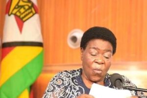2027 National Budget should translate shared ambitions into practical adequately funded interventions: Minister Ncube