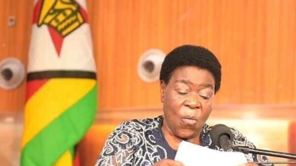 2027 National Budget should translate shared ambitions into practical adequately funded interventions: Minister Ncube