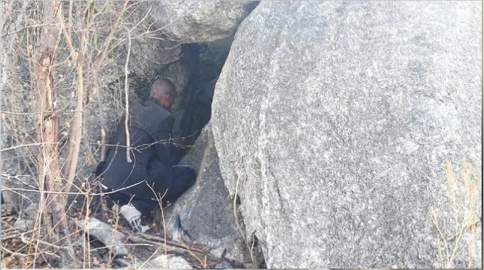Bees, poison and betrayal: The haunting mystery of a ZPRA fighter’s grave