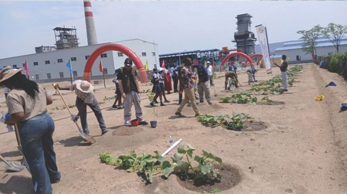 Zesa, Zhongjin Heli launch Hwange reforestation drive