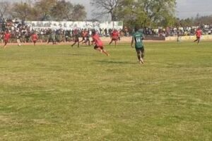 Indlovu Iyanyathela iqhuba kakuhle
